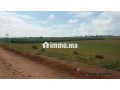 tnine-chtouka-beau-terrain-a-vendre-10000m2-small-4