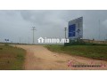 tnine-chtouka-beau-terrain-a-vendre-10000m2-small-5