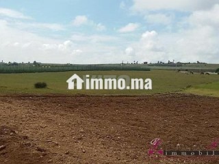 Tnine Chtouka beau terrain à vendre 10000m² - Terrain à vendre - Casablanca