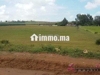 Tnine Chtouka beau terrain à vendre 10000m² - Terrain à vendre - Casablanca