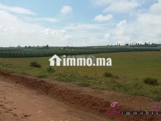 Tnine Chtouka beau terrain à vendre 10000m² - Terrain à vendre - Casablanca