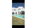 fyla-bshaty-ashkar-msbh-khas-small-0
