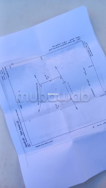Terrain loti d’Exception à Marrakech avec Vna – Zahrat Nakhil, devant Maison Semia Bmw – 6000 m² - Vente Immobilier - Marrakech - photo 1