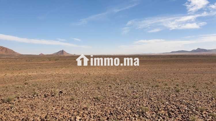 Terrain agricole de 50 hectares - Location Immobilier - Errachidia - photo 1