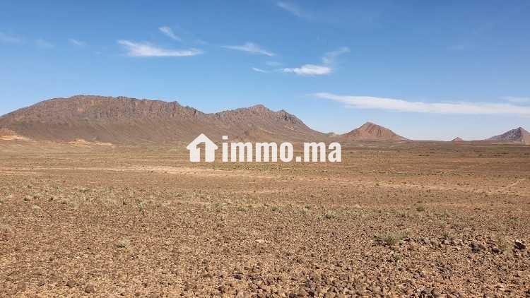 Terrain agricole de 50 hectares - Location Immobilier - Errachidia - photo 2