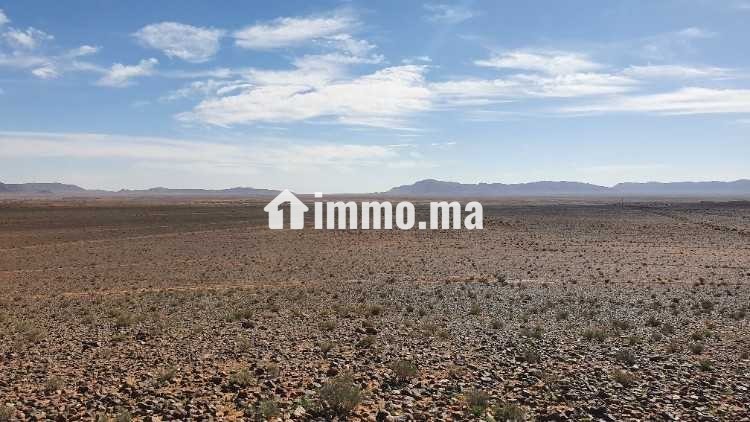 Terrain agricole de 50 hectares - Location Immobilier - Errachidia - photo 3
