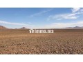 terrain-agricole-de-50-hectares-small-0