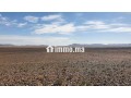 terrain-agricole-de-50-hectares-small-2