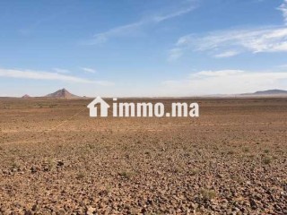 terrain-agricole-de-50-hectares