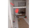 local-amenage-au-quartier-des-hopitaux-small-0