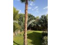agreable-appartement-haut-standing-small-15